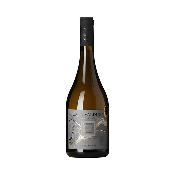 Casa Valduga Terroir Chardonnay - Hvidvin