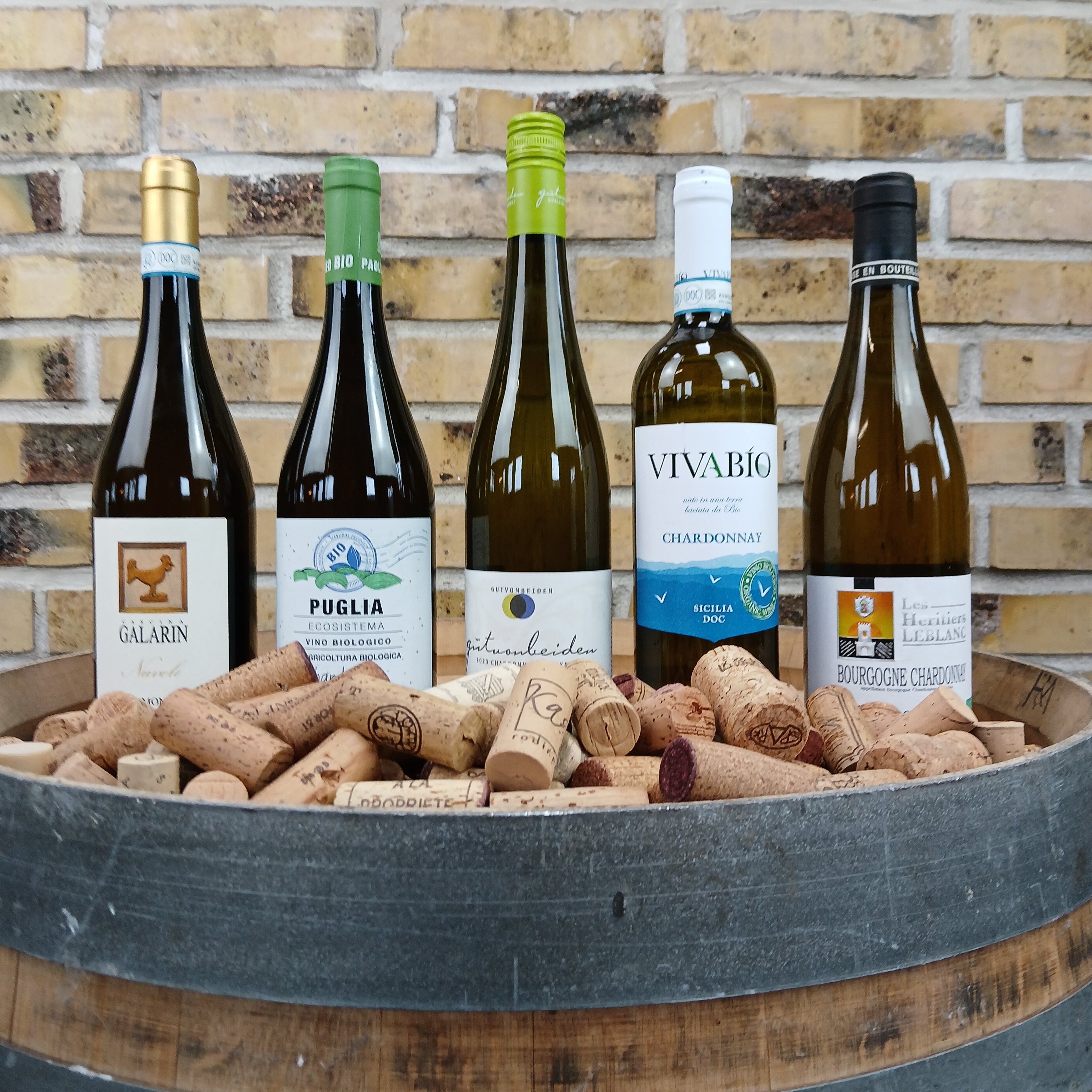 Hvid Fødselsdags Smagskasse Chardonnay Smagskassen økologiske Biodynamiske Veganske Vine - Hvidvin