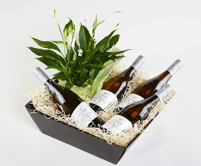Hvid Blomstrende Gavekasse Med Vin Send Gavekurve Blomster Med Bloomit - Bloomit Hvidvin