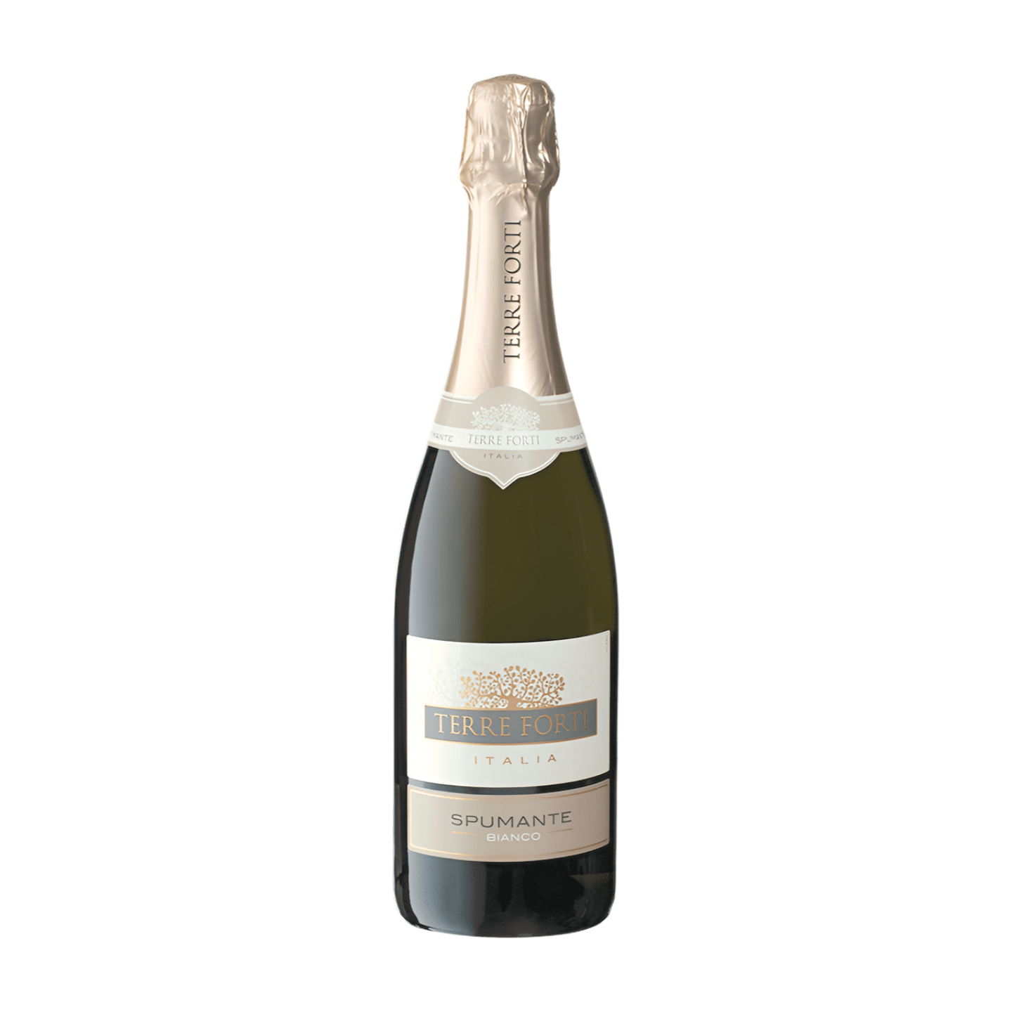 Terre Forti Spumante Bianco Secco - Mousserende